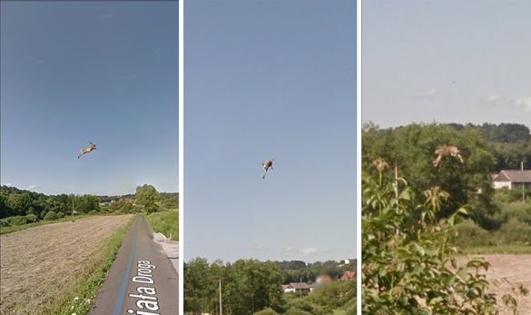 Google Карты пугают пользователей странными снимками