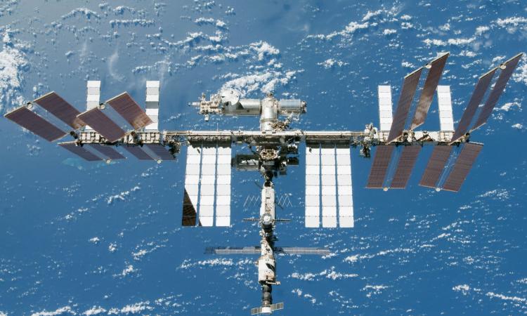  Scientists on the outside of the ISS found plankton 