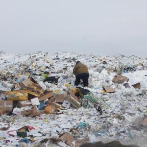 В Ростовской области обнаружили незаконную свалку бытовых отходов