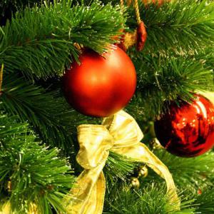 Пятигорск: новогоднюю елку украсили фруктами