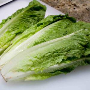Россельхознадзор запретил ввоз 14 тонн зараженного салата из Турции