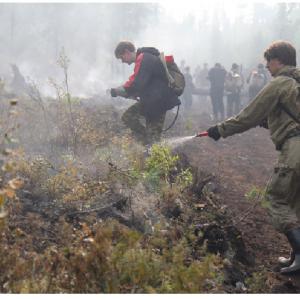 В Челябинской области лесные пожары: горит лесостепь в Троицком районе