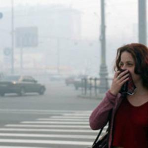 МЧС: в субботу в Петербурге будет сильный ветер