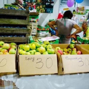 Около 840 тонн сельхозпродукции купили гости "Кубанской ярмарки-2015"