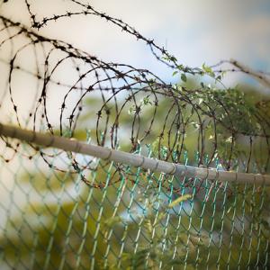 "Стену" на границе с РФ в Харьковской области еще не строят: денег нет