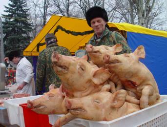 Новости Северного Кавказа