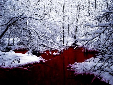 В Омской области нашли "озеро" из крови