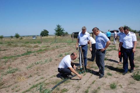 Власти Ростовской области активно взялись за озеленение