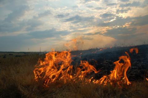В Крыму ликвидировали степной пожар на площади около шести гектаров