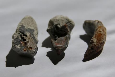 Загадочный артефакт из Крыма: в известняке обнаружили медные «пули» возрастом 70 миллионов лет