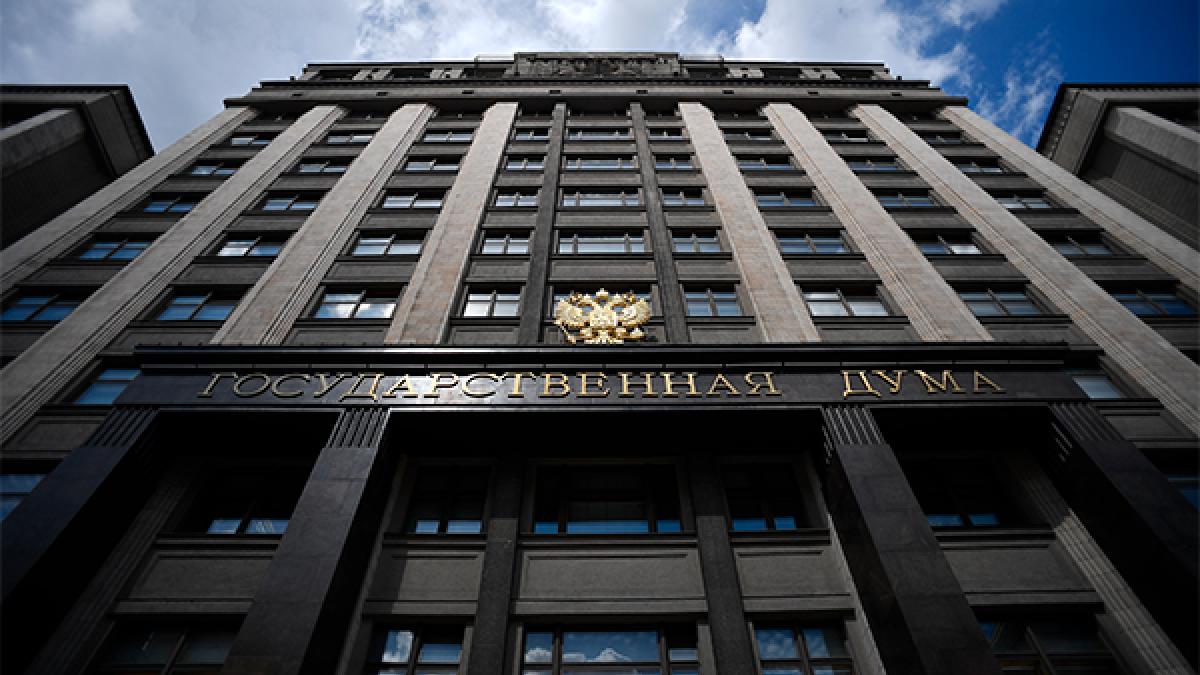 Депутаты Госдумы приняли закон, запрещающий рекламировать написание дипломных и курсовых работ Депутаты Госдумы приняли закон, запрещающий рекламировать написание дипломных и курсовых работ