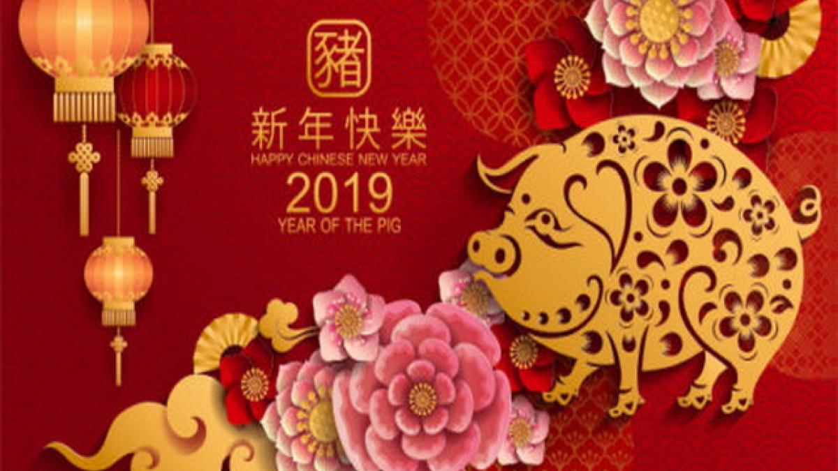 Китайский Новый год в 2019 году новые фото Китайский Новый год в 2019 году новые фото
