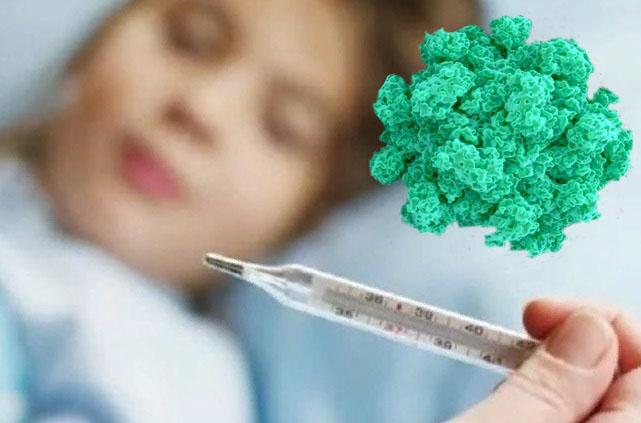 Осторожно, норовирус: основные симптомы коварного заболевания и способы избежать заражения