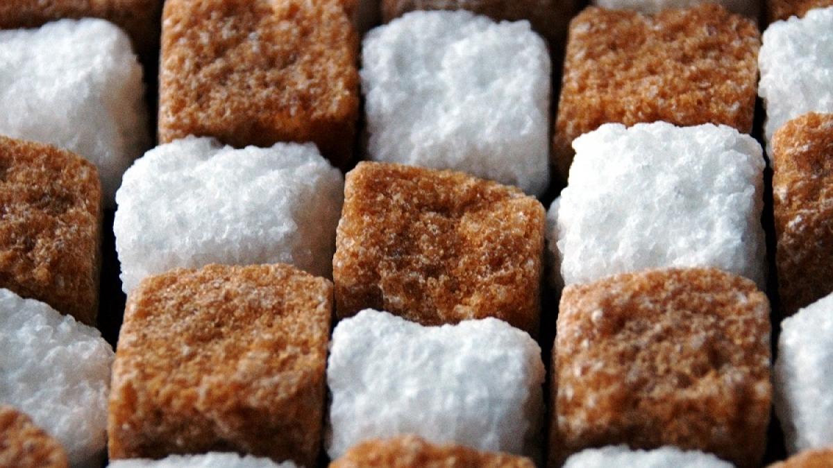 Этот продукт блокирует похудение: ученые рассказали, что нужно удалить из диеты, чтобы похудеть и оздоровиться Этот продукт блокирует похудение: ученые рассказали, что нужно удалить из диеты, чтобы похудеть и оздоровиться