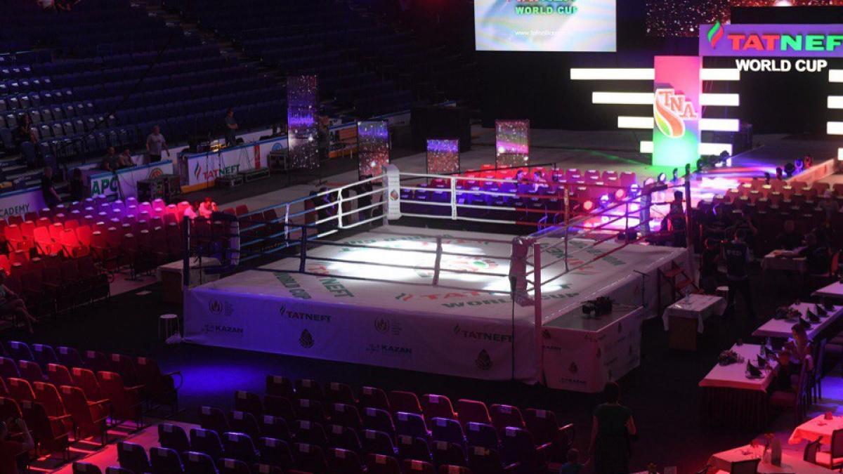 Кубок TATNEFT: чемпионат мира по правилам TNA 14 декабря 2017 в Казани - финалы, по какому каналу прямая трансляция Кубок TATNEFT: чемпионат мира по правилам TNA 14 декабря 2017 в Казани - финалы, по какому каналу прямая трансляция