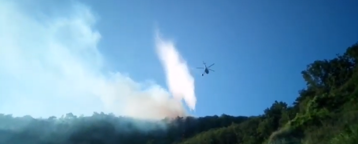 Тушение пожара на Черноморском побережье Краснодарского края сняли на видео