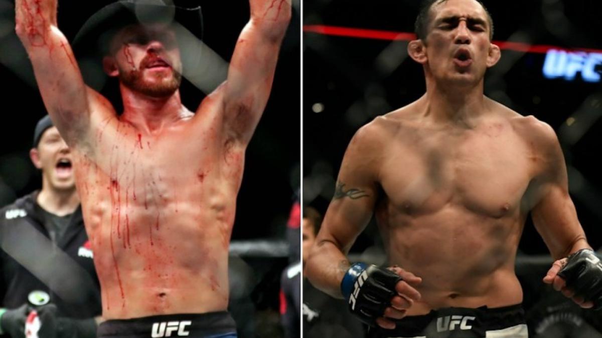 Фергюсон встретится с Серроне на UFC 238 в июне Фергюсон встретится с Серроне на UFC 238