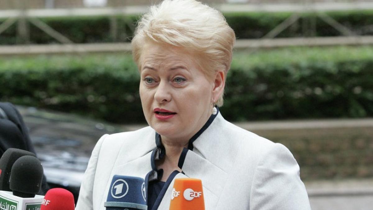 Грибаускайте придумала как спасти убыточный СПГ-терминал: отжать деньги у "Газпрома" Литва хочет выбить из России деньги на СПГ-терминал