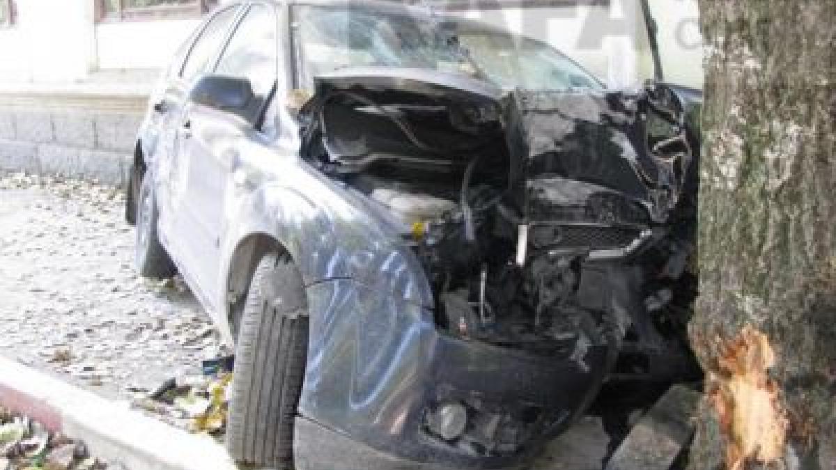 Трое подростков на Ford Focus жестко разбились о дерево в Феодосии ДТП в Феодосии
