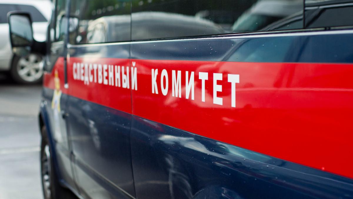 Растерзанное тело новорожденного нашли в лесу под Магаданом Следком