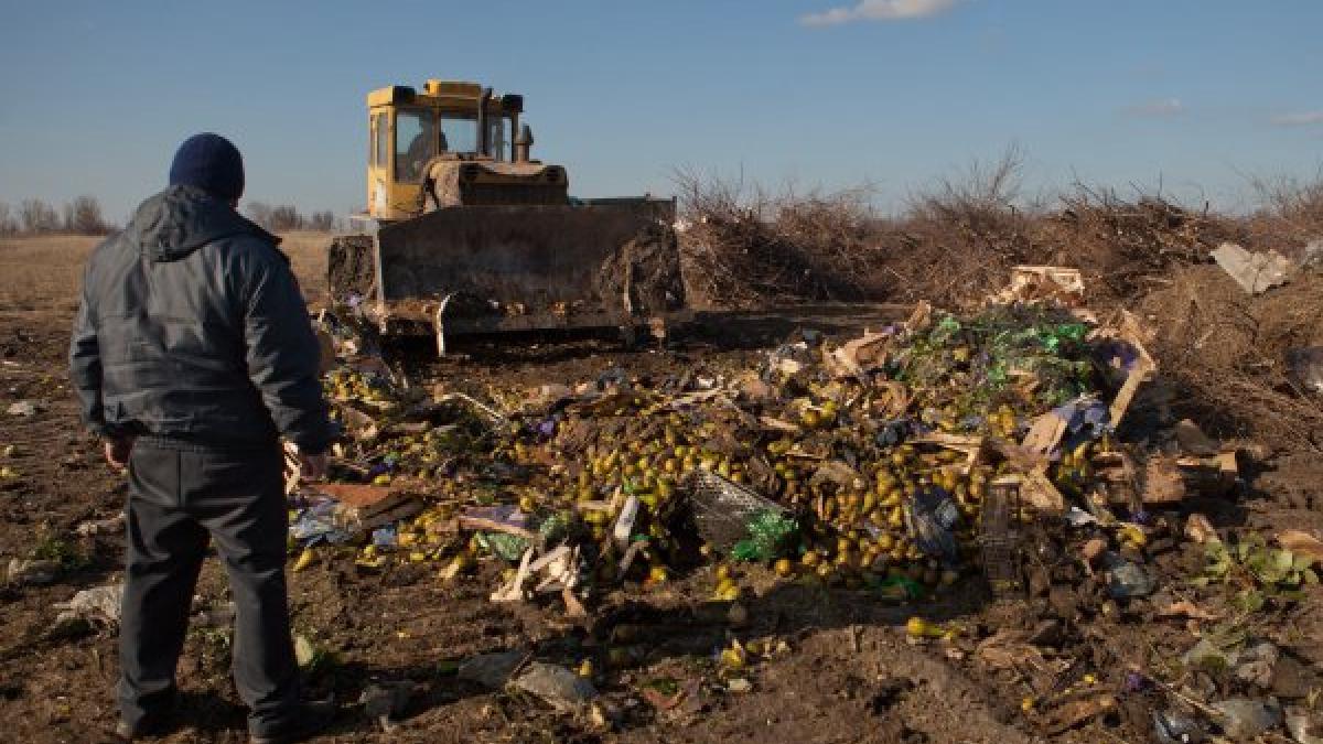 В Ростове уничтожили «подозрительные» груши В Ростове уничтожили «подозрительные» груши