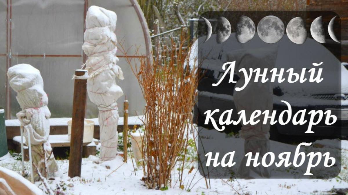 Лунный календарь на ноябрь 2017 года: советы и прогнозы астрологов на месяц для всех знаков Зодиака Лунный календарь на ноябрь 2017 года: советы и прогнозы астрологов на месяц для всех знаков Зодиака