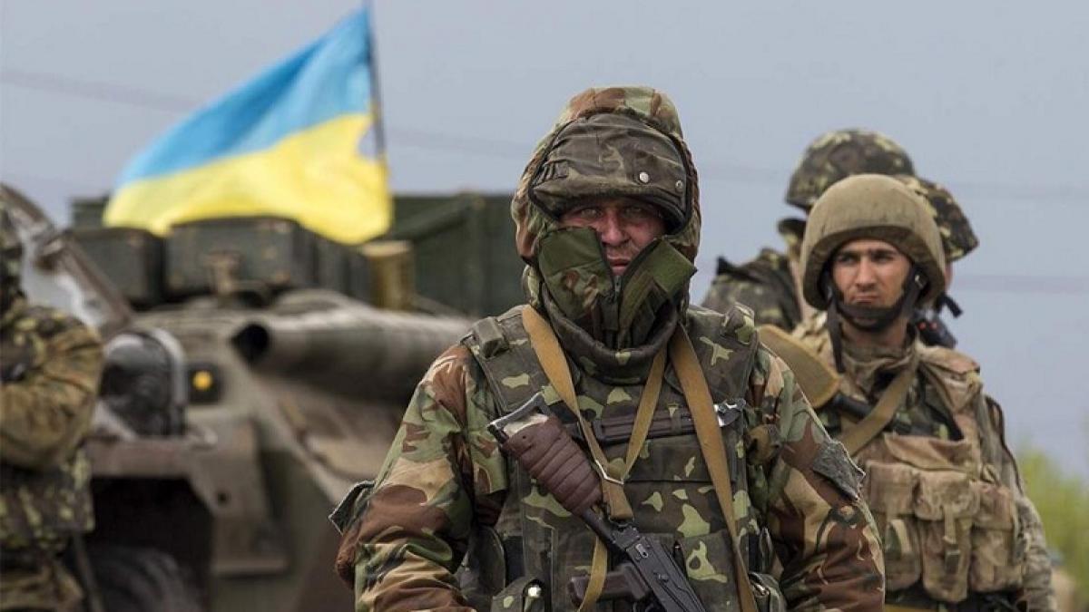 В ЛНР выяснили, к чему готовят украинских силовиков инструкторы НАТО В ЛНР выяснили, к чему готовят украинских силовиков инструкторы НАТО