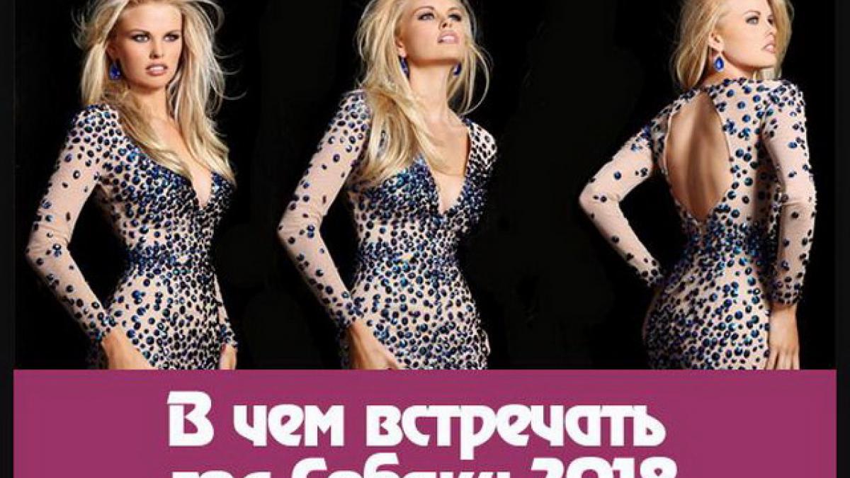 В чем нужно встречать Новый 2018 год Желтой Собаки, чтобы привлечь удачу В чем нужно встречать Новый 2018 год Желтой Собаки, чтобы привлечь удачу
