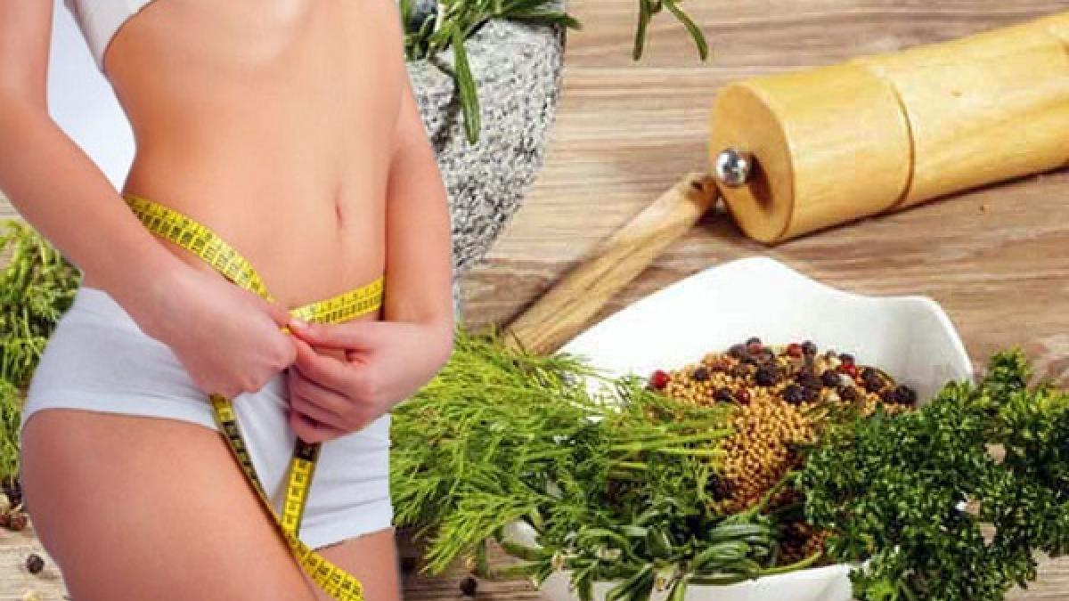 Травы для снижения аппетита и похудения