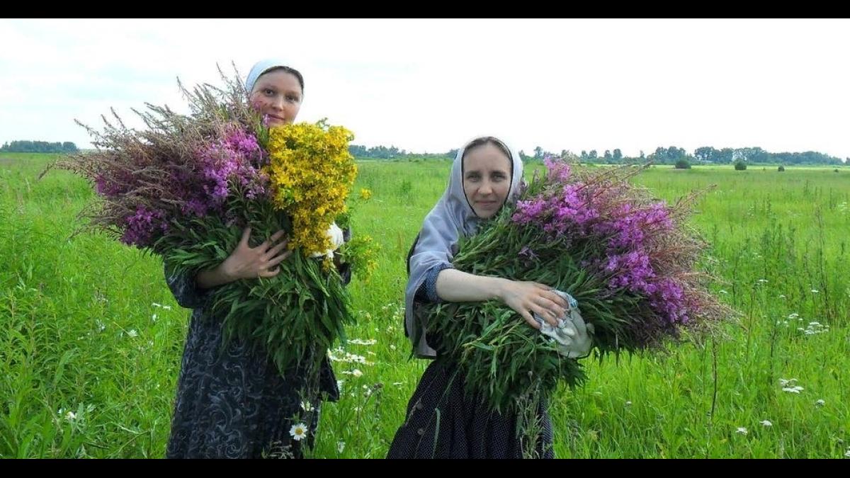 23 мая 2018 года – Симонов день: что это за праздник, как он отмечается, традиции, обряды, приметы, история 23 мая 2018 года – Симонов день: что это за праздник, как он отмечается, традиции, обряды, приметы, история