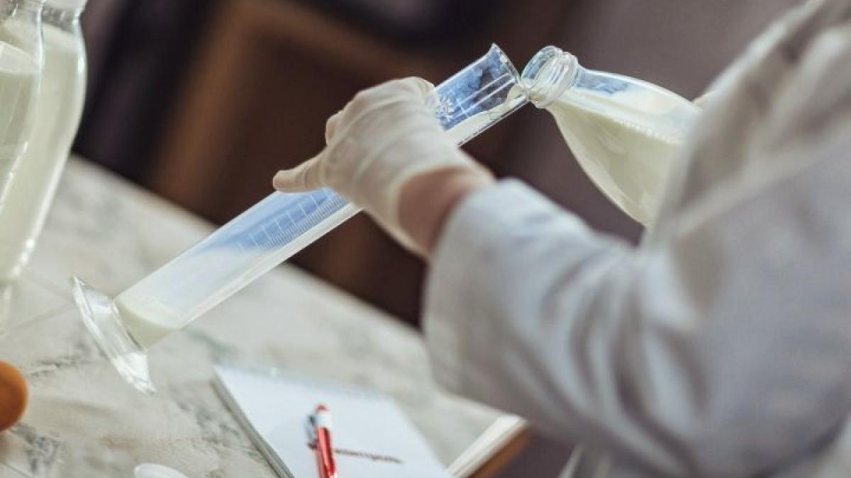 Россельхознадзор может предъявить иски компании Danone о защите деловой репутации Россельхознадзор может предъявить иски компании Danone о защите деловой репутации