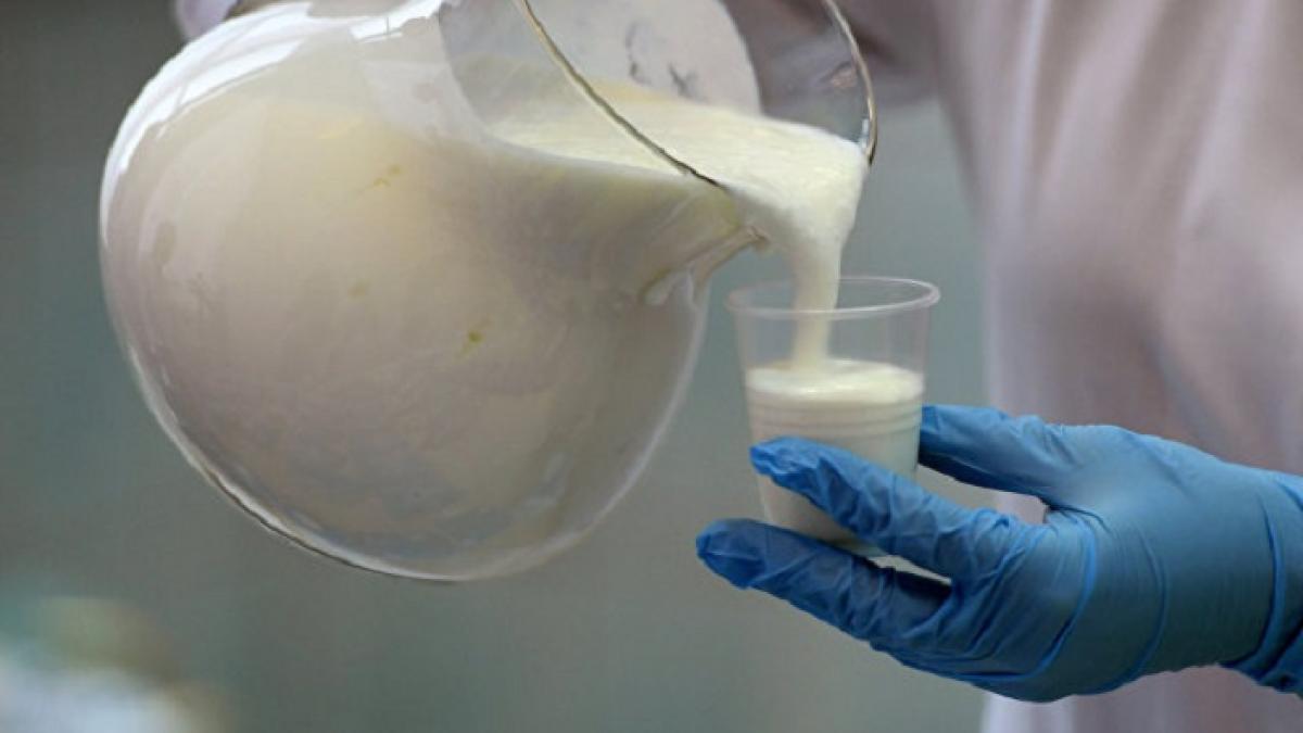 В Ростовской области обнаружена опасная молочная продукция В Ростовской области обнаружена опасная молочная продукция