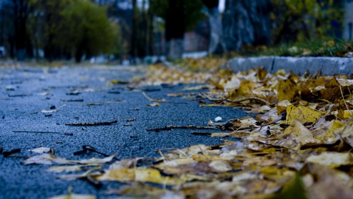 В Волгоград пришло резкое похолодание, синоптики пугают прогнозом В Волгоград пришло сильное похолодание