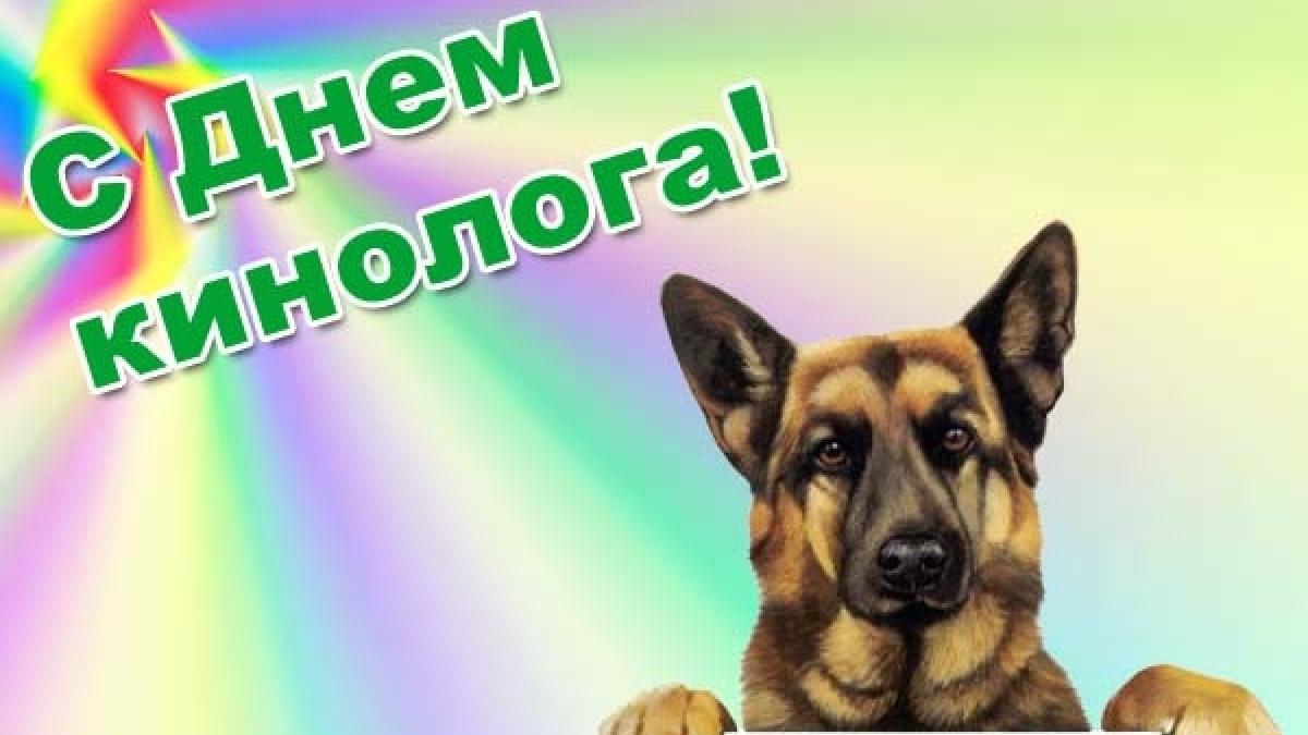 День кинолога – 2018: анимационные поздравления с профессиональным праздником День кинолога – 2018: анимационные поздравления с профессиональным праздником