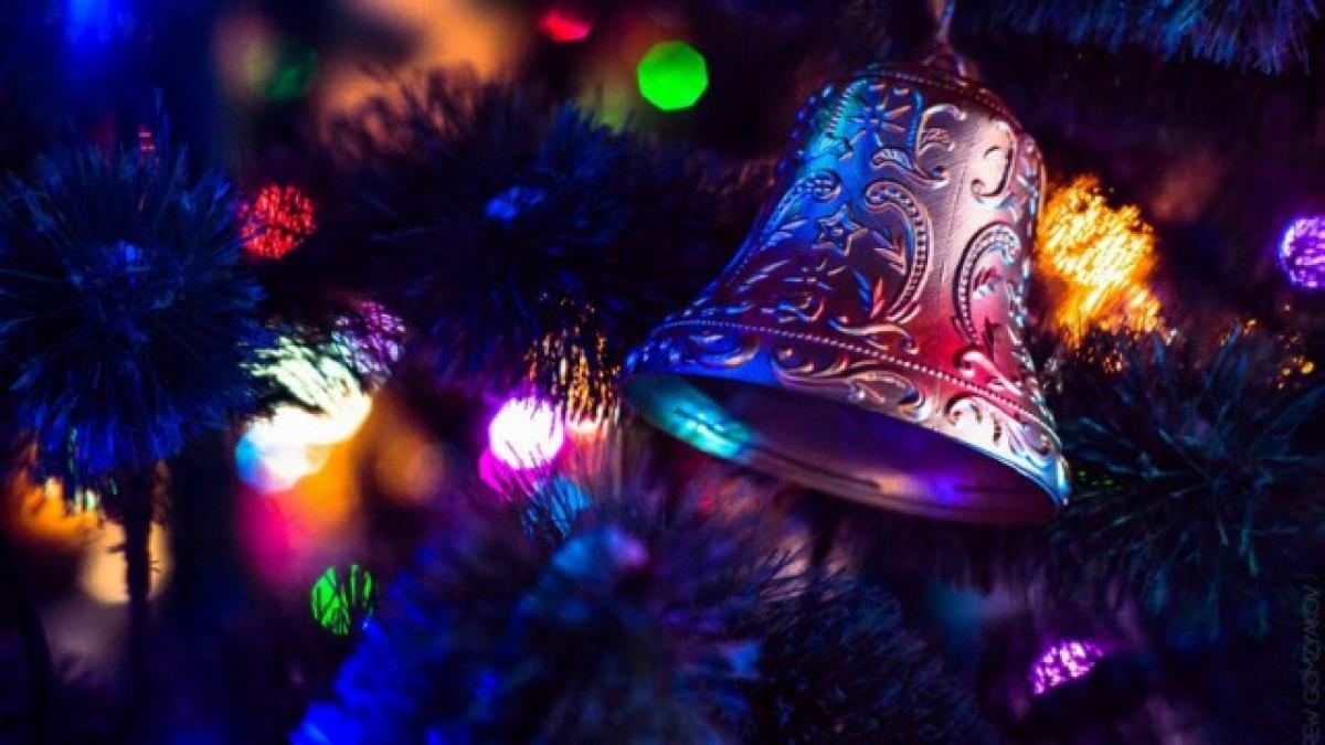 Как украсить дом, чтобы привлечь богатство и удачу в 2019 году? Астрологи рассказали, как встречать год Свиньи для привлечения удачи