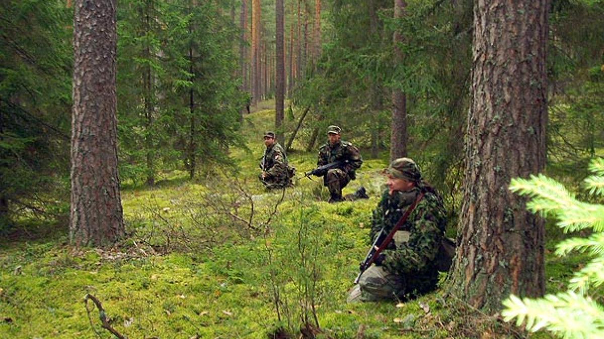 Спецслужбы ЛНР обнаружили на российской границе тайник с боеприпасами Спецслужбы ЛНР обнаружили тайник с боеприпасами на границе с Россией