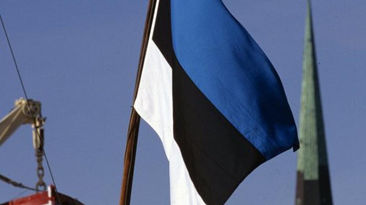 флаг Эстонии Эстония сделала неожиданные заявления против РФ