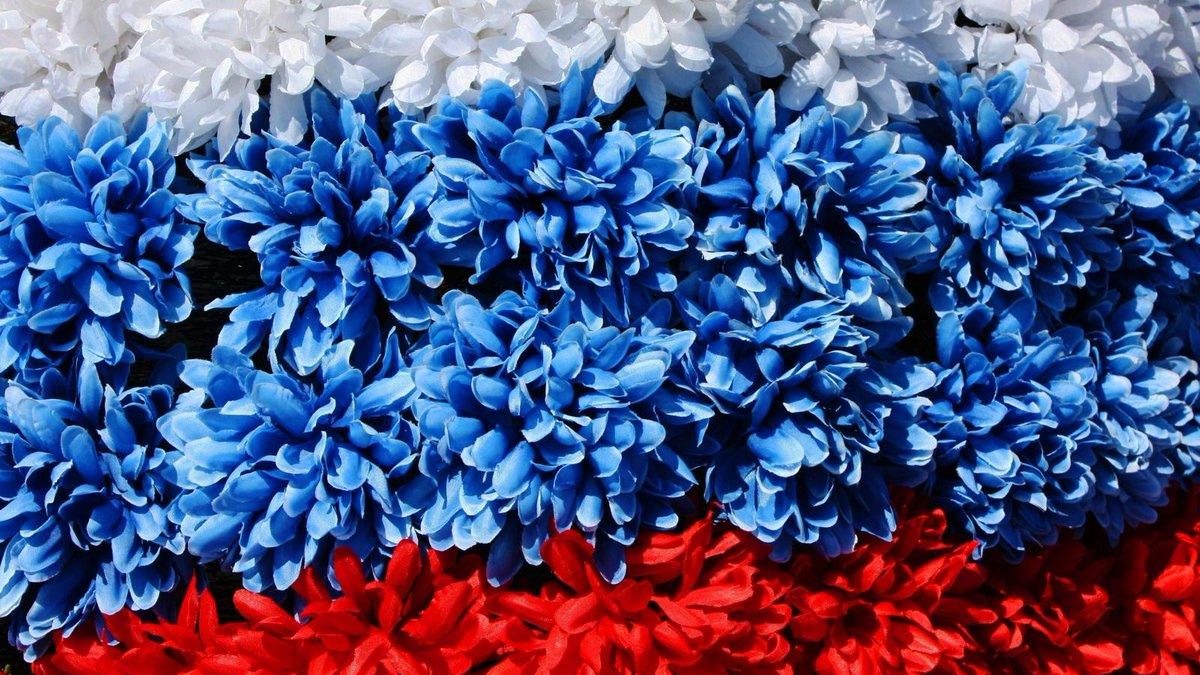 День России 12 июня 2018: история праздника, торжественный салют и фейерверк День России 12 июня 2018: история праздника, торжественный салют и фейерверк