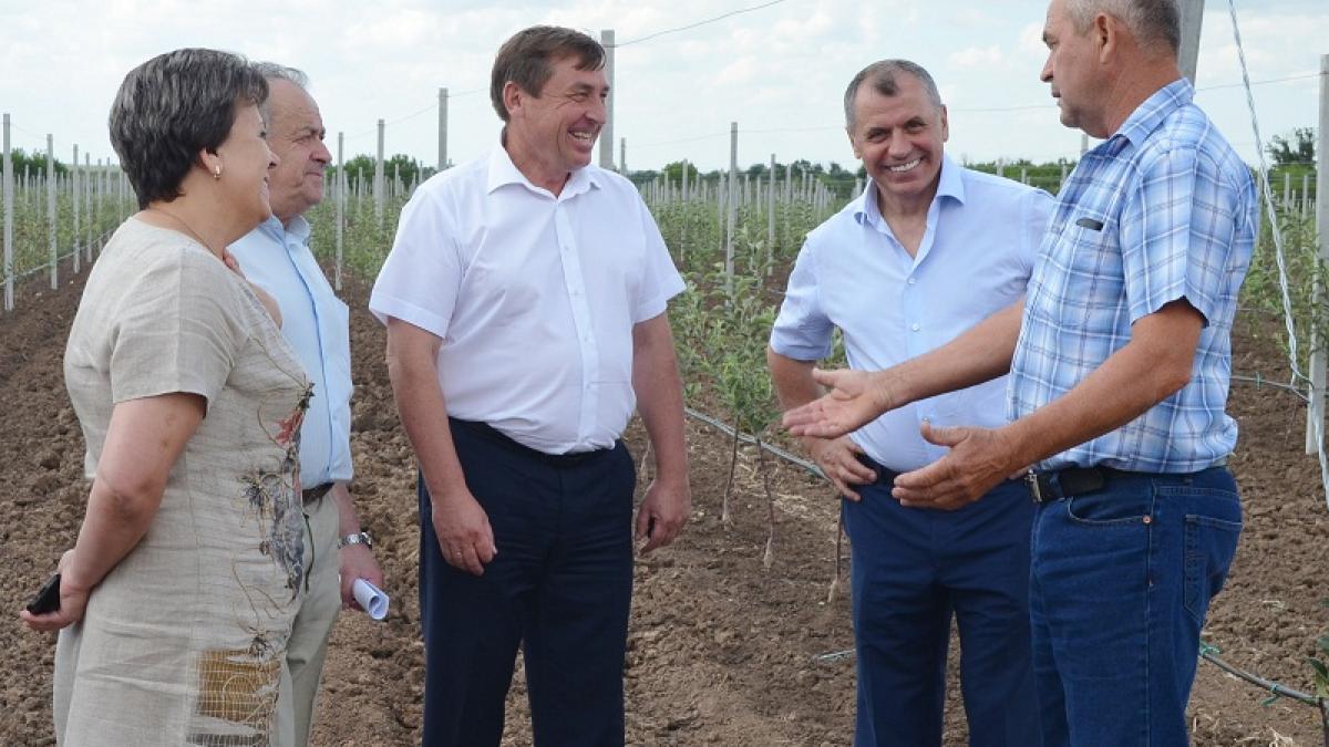 Власти Крыма рассказали о запрещенном сотрудничестве с Европой Власти Крыма рассказали об успешном сотрудничестве с Европой