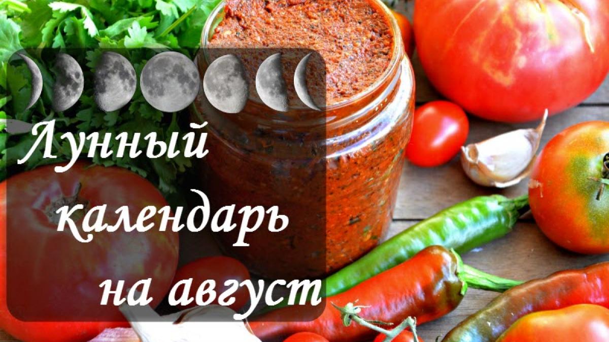Лунный посевной календарь на август 2017 садовода и огородника: таблица благоприятных дней уборки урожая Лунный посевной календарь на август 2017 садовода и огородника: таблица благоприятных дней уборки урожая