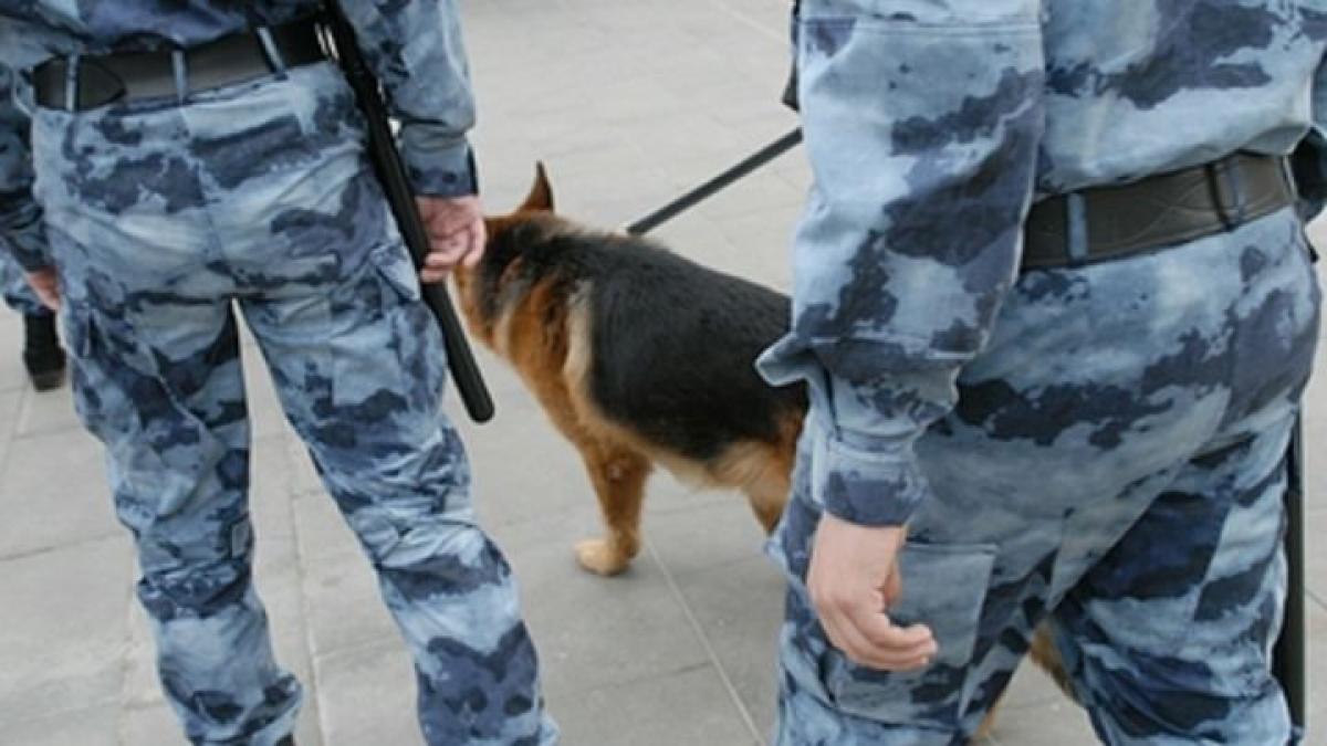 полиция В Москве МВД и Росгвардия провели обыски в общежитии геологоразведочного университета