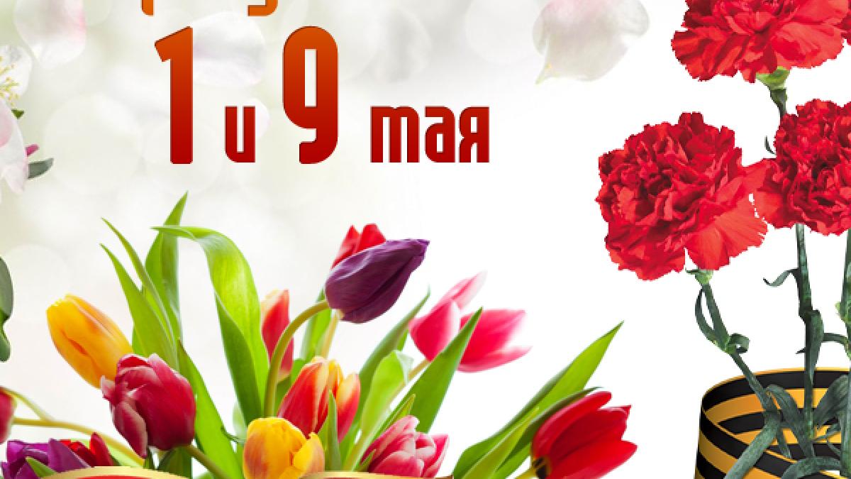 Как отдыхаем на майские праздники 2017 Майские праздники 2017 как отдыхаем