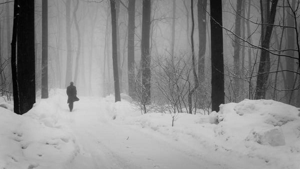 Неблагоприятные и позитивные дни в декабре 2018 года обнародованы в СМИ Неблагоприятные и позитивные дни в декабре 2018 года обнародованы в СМИ