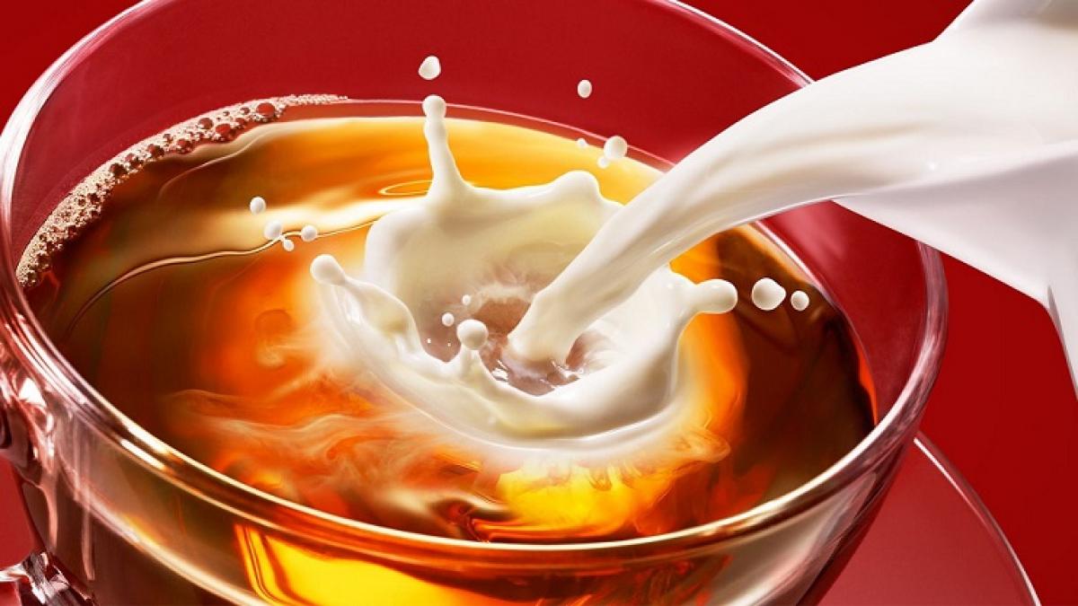 Ученые: чай с молоком содержит вредные для организма соединения Чай с молоком содержит вредные для организма соединения - ученые