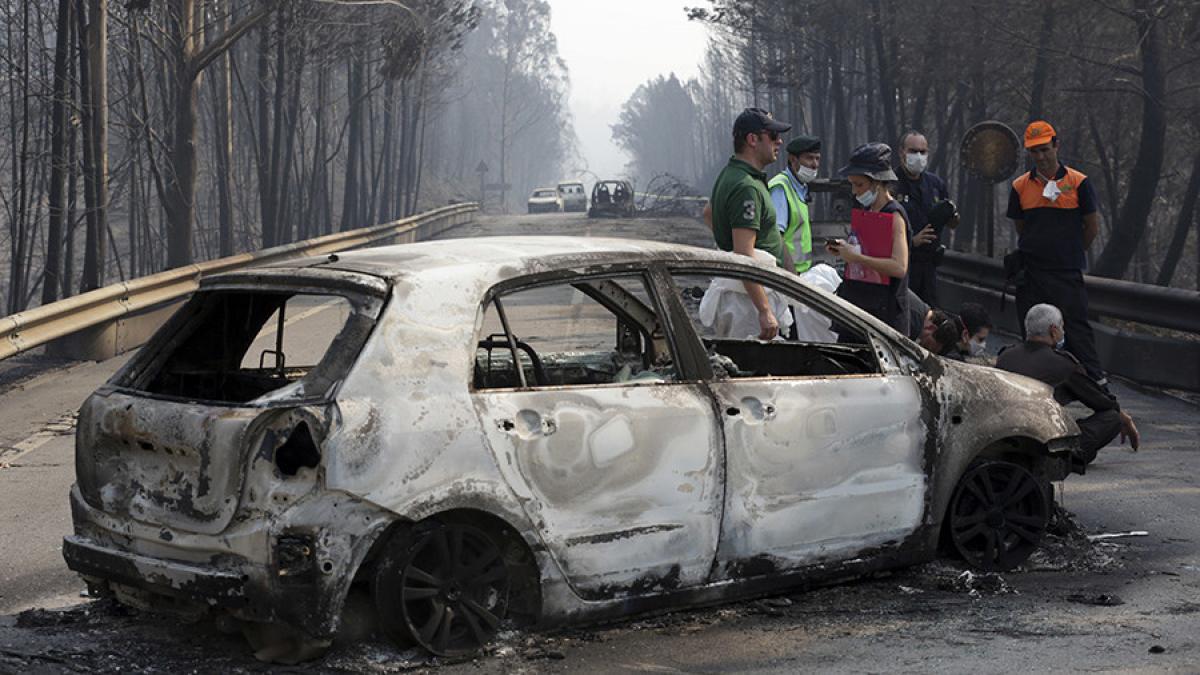 Лесные пожары в Португалии унесли жизни 62 человек – СМИ Лесные пожары в Португалии унесли жизни 62 человек