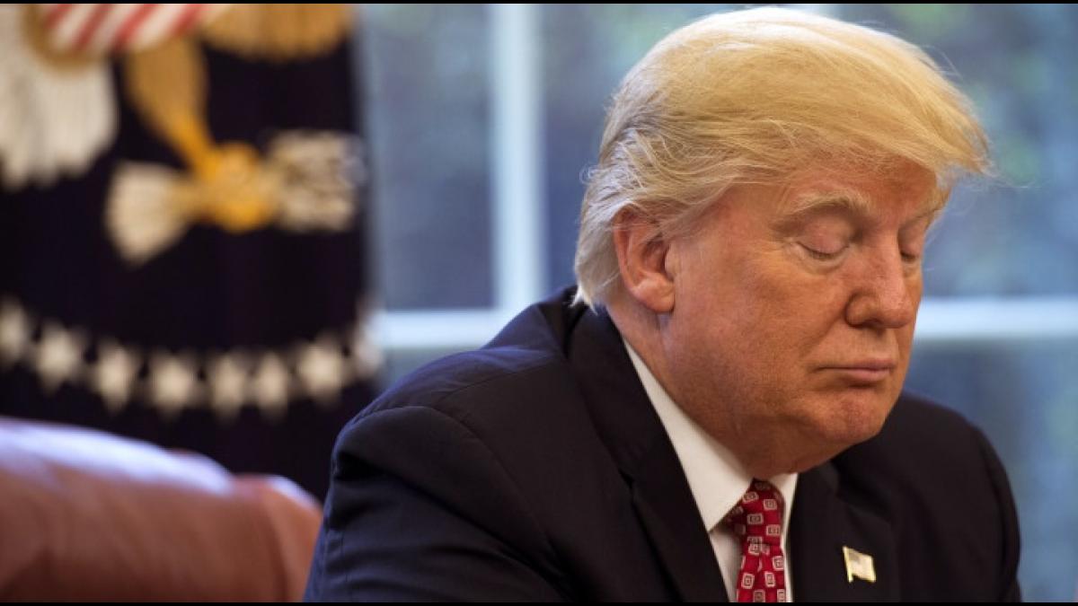 Трамп Трамп