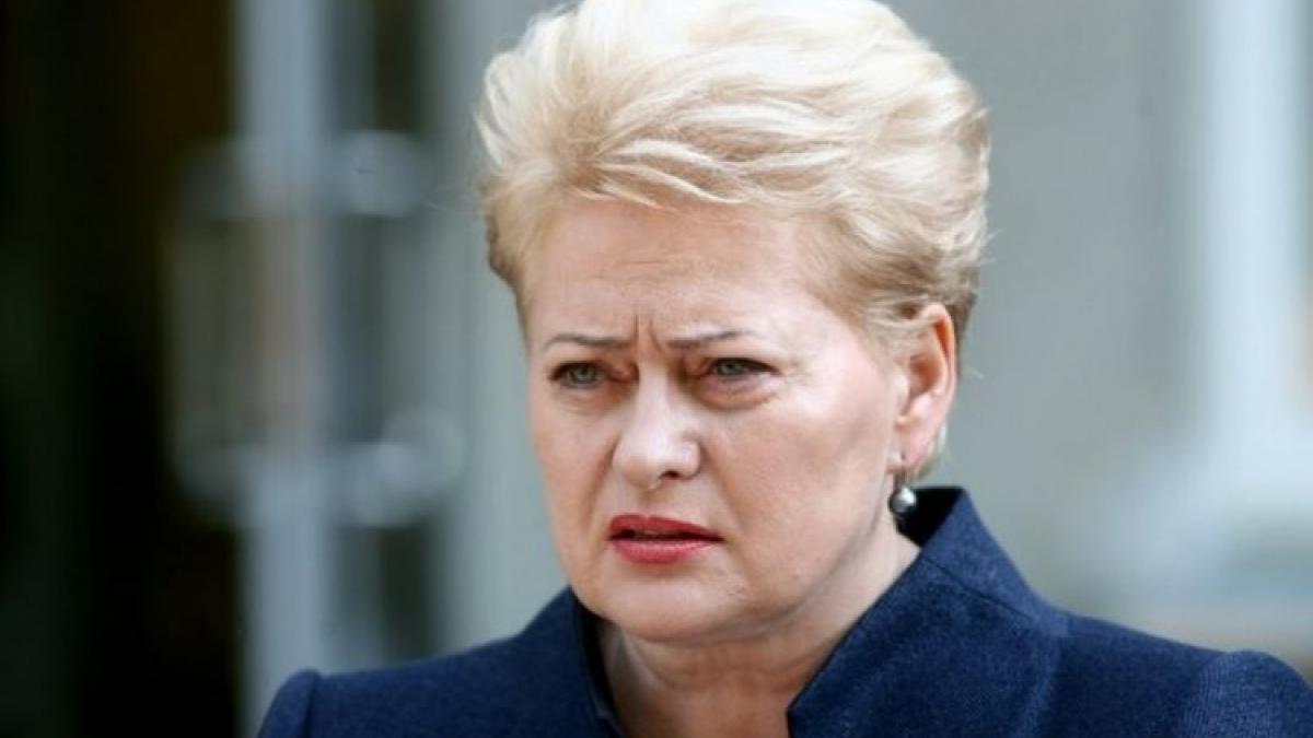 Даля Грибаускайте Россия сократила поставки электроэнергии в Прибалтику