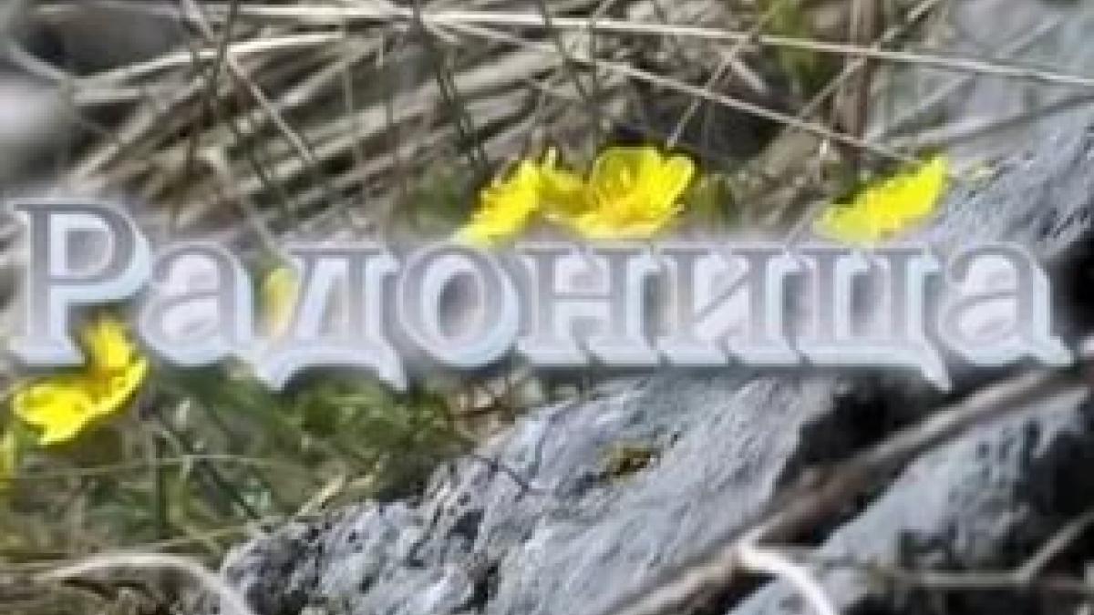 Поминовение усопших Радоница – какого числа в 2017 году и можно ли ходить на кладбище Поминовение усопших Радоница – какого числа в 2017 году и можно ли ходить на кладбище