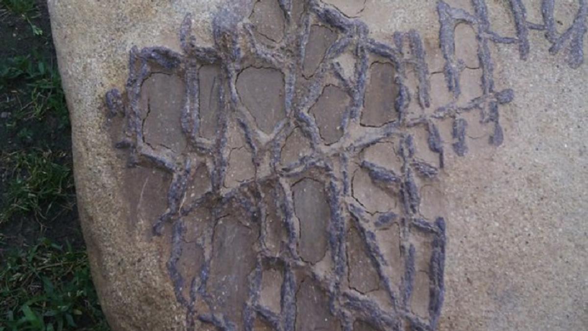 «Инопланетный» камень с рисунками нашли в Краснодарском крае «Инопланетный» камень с рисунками нашли в Краснодарском крае