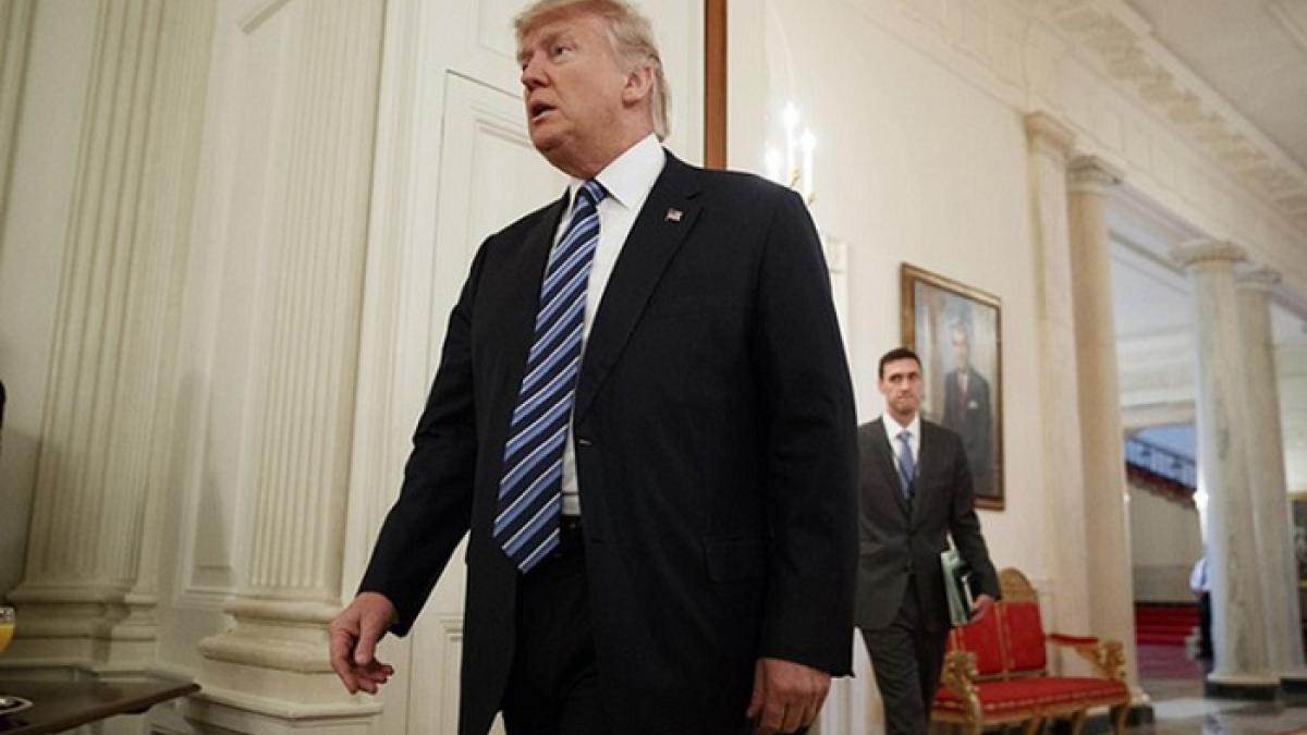 Трамп Трамп
